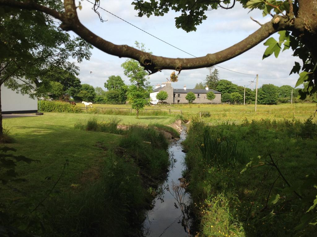 Ballinakill Cartron House住宿加早餐旅馆 外观 照片