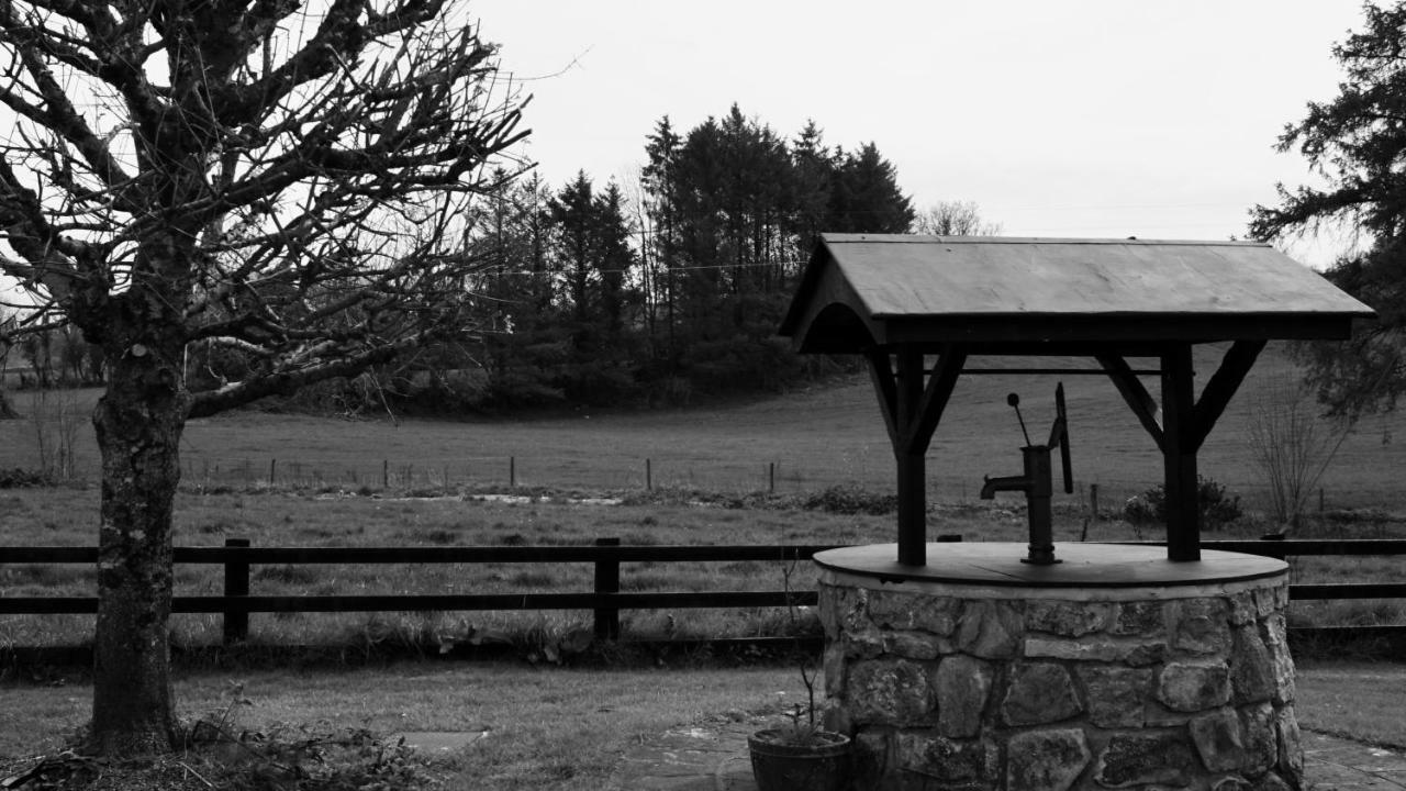 Ballinakill Cartron House住宿加早餐旅馆 外观 照片