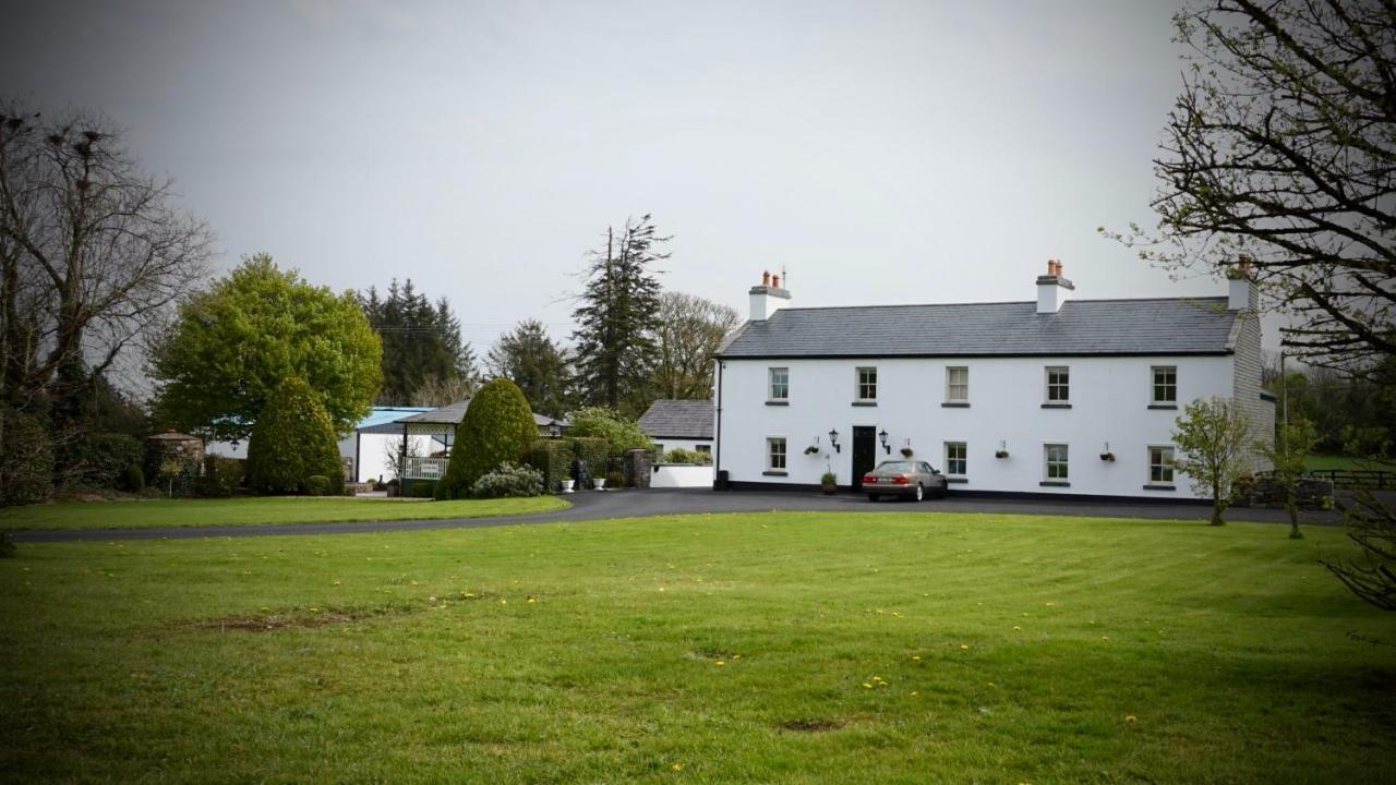 Ballinakill Cartron House住宿加早餐旅馆 外观 照片